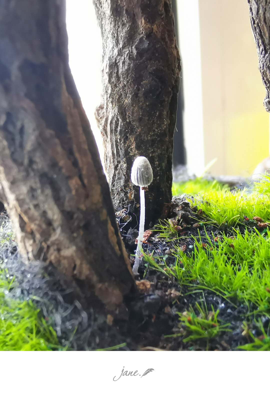 摘要图片