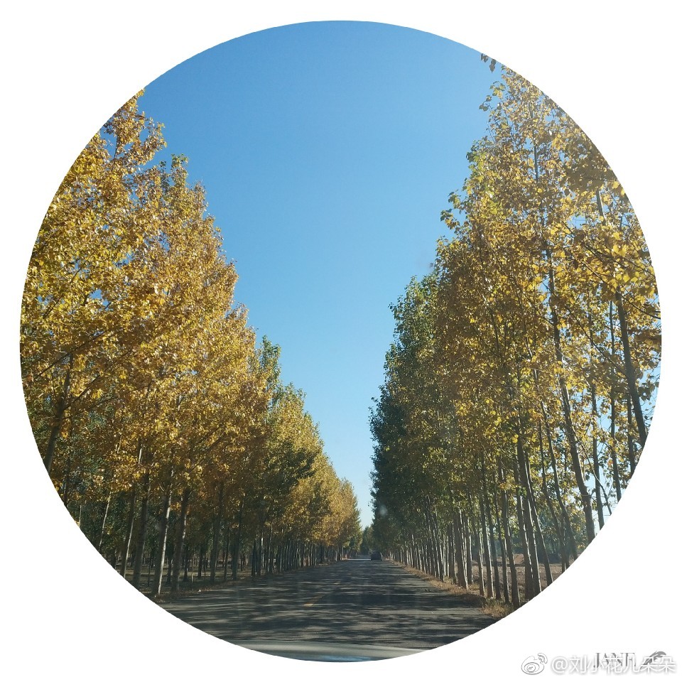 微博图片 1