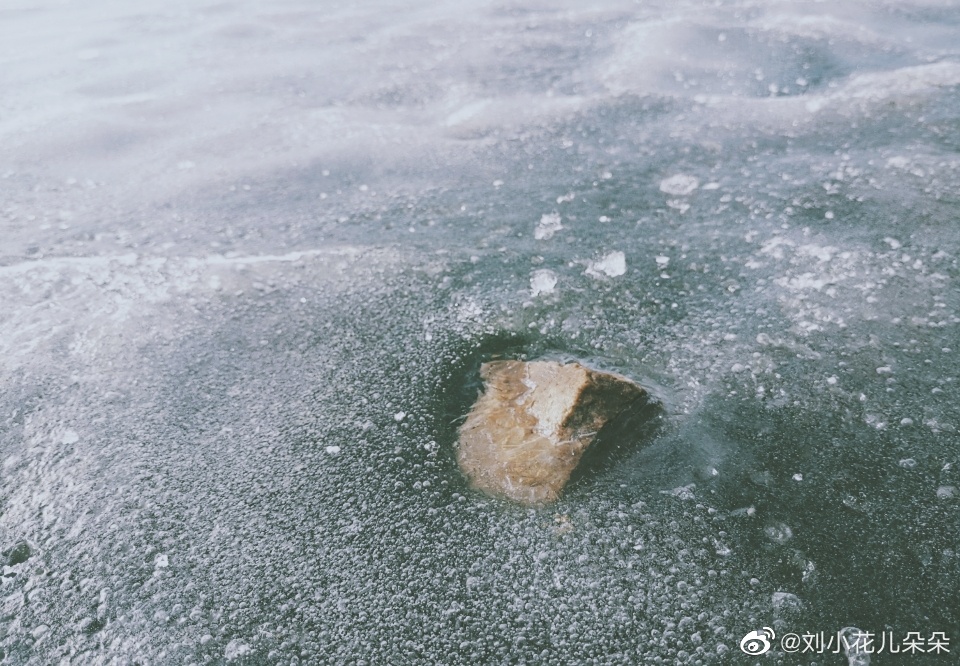 微博图片 2