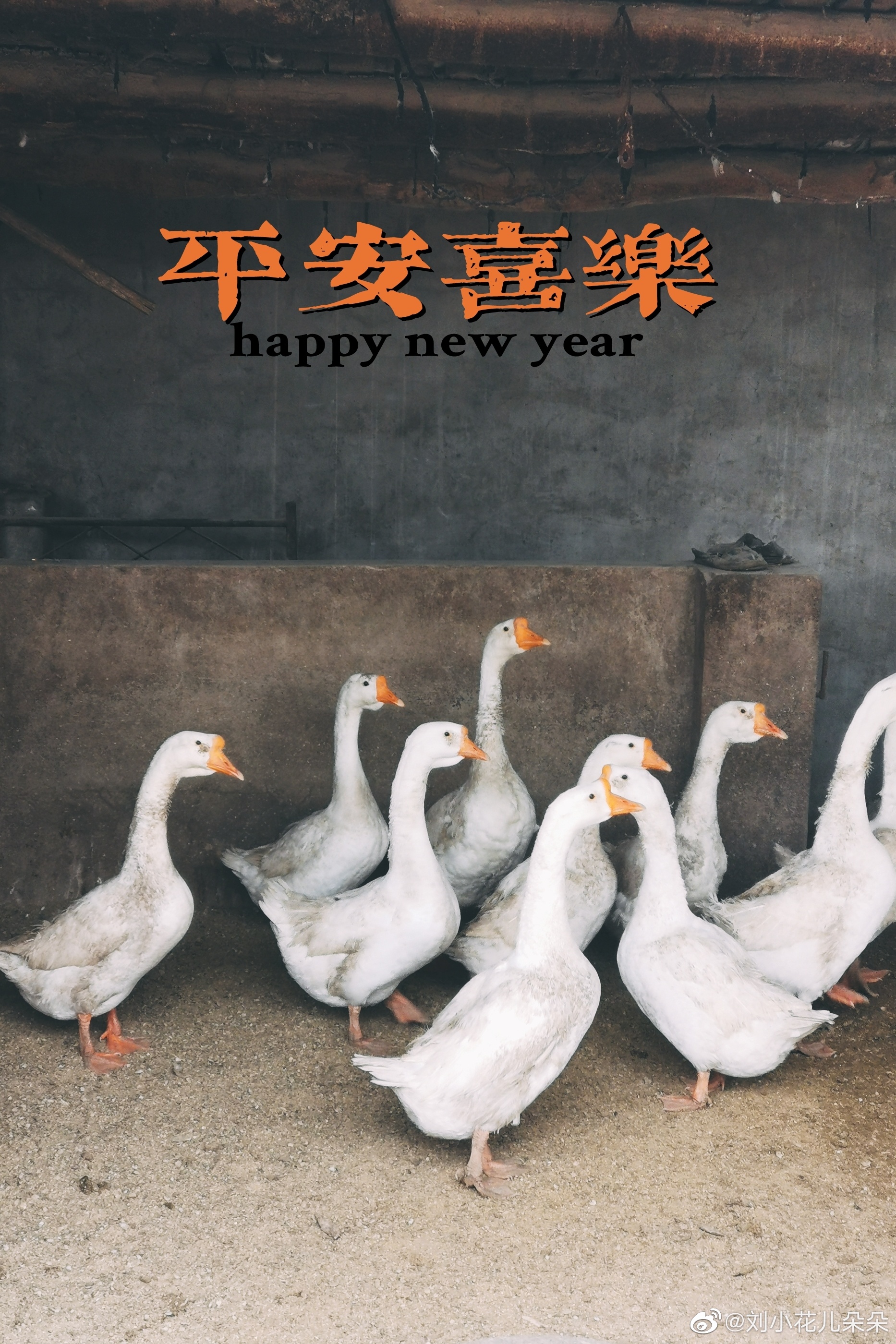 微博图片 1