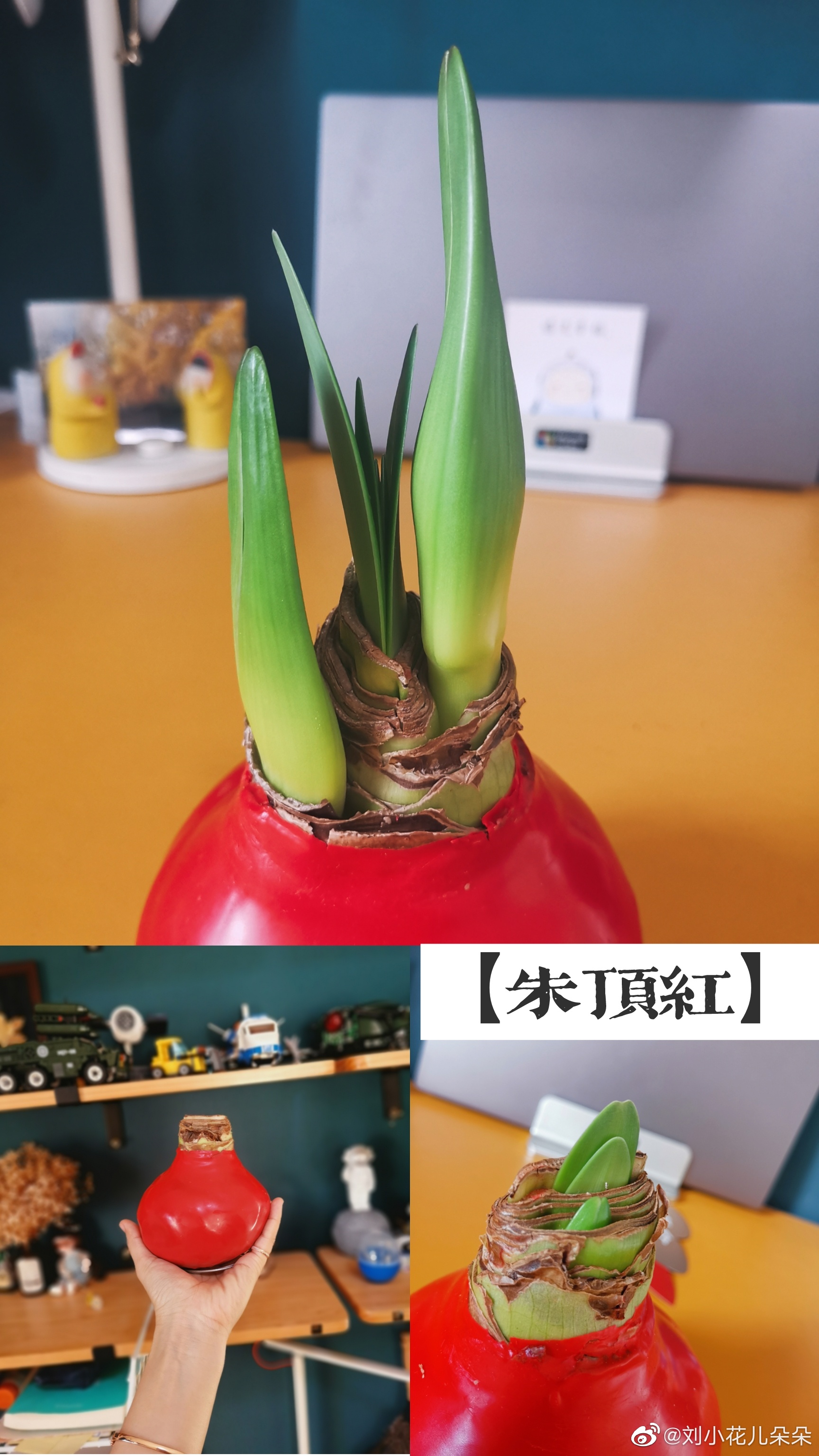 微博图片 7