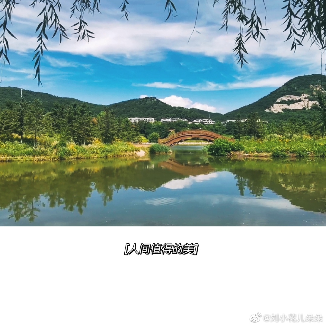 微博图片 5