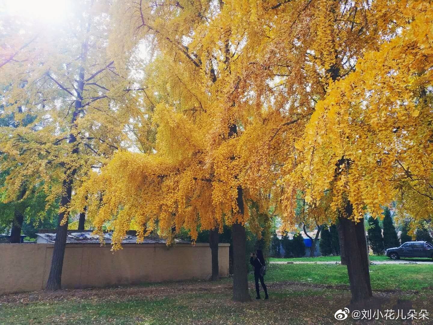 微博图片 1