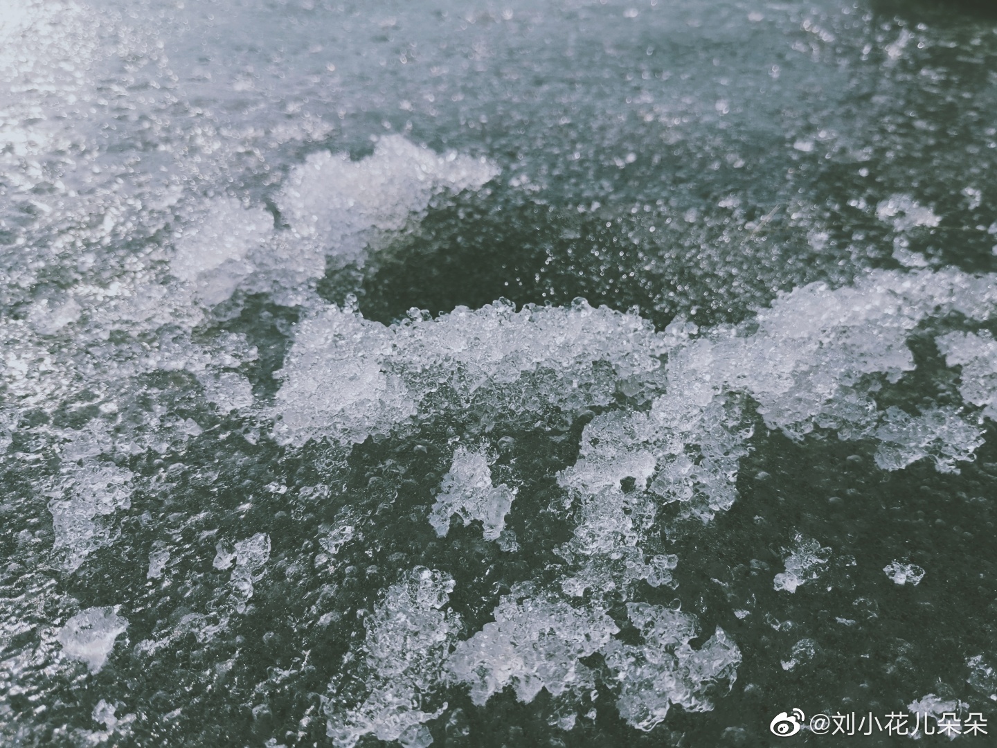 微博图片 8