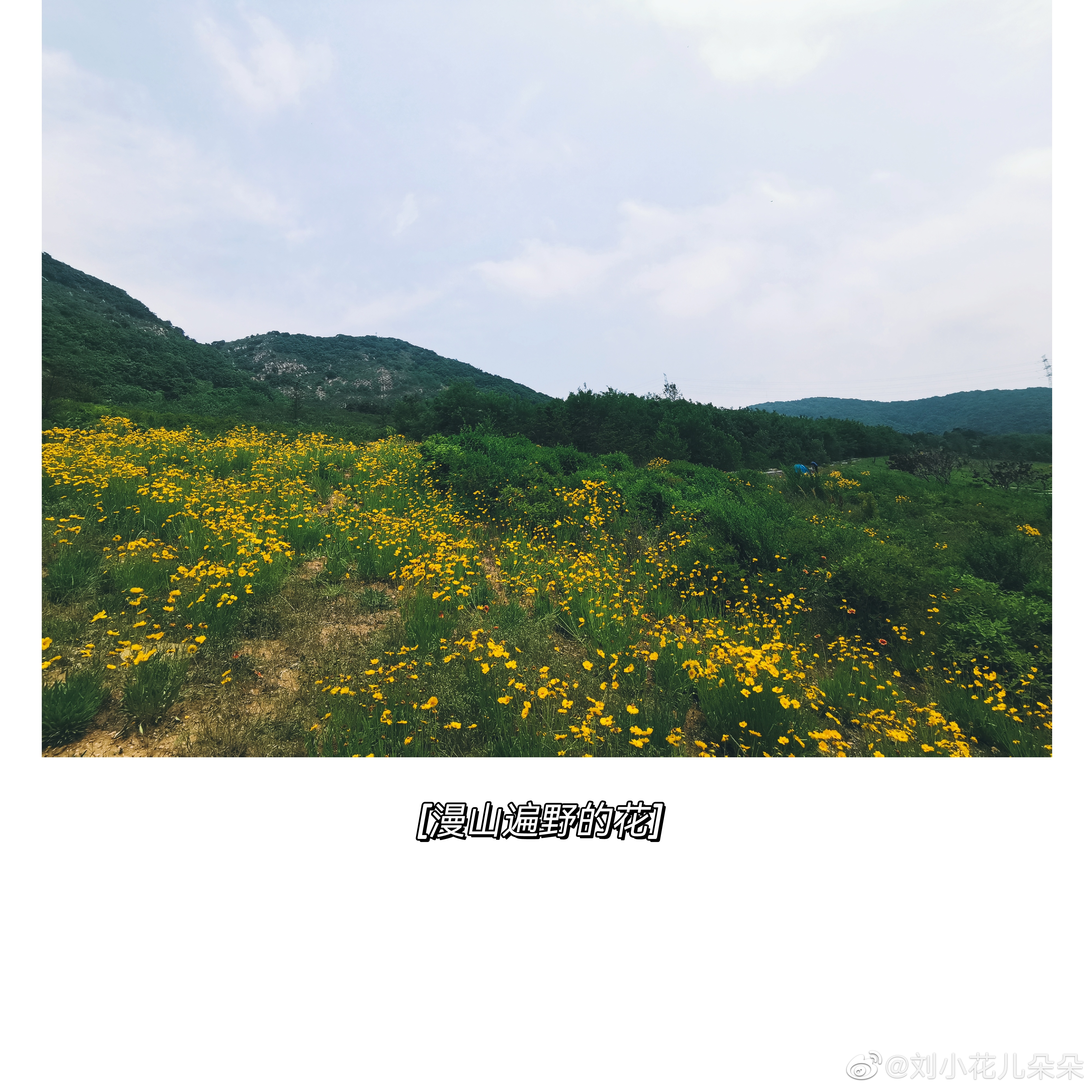 微博图片 2