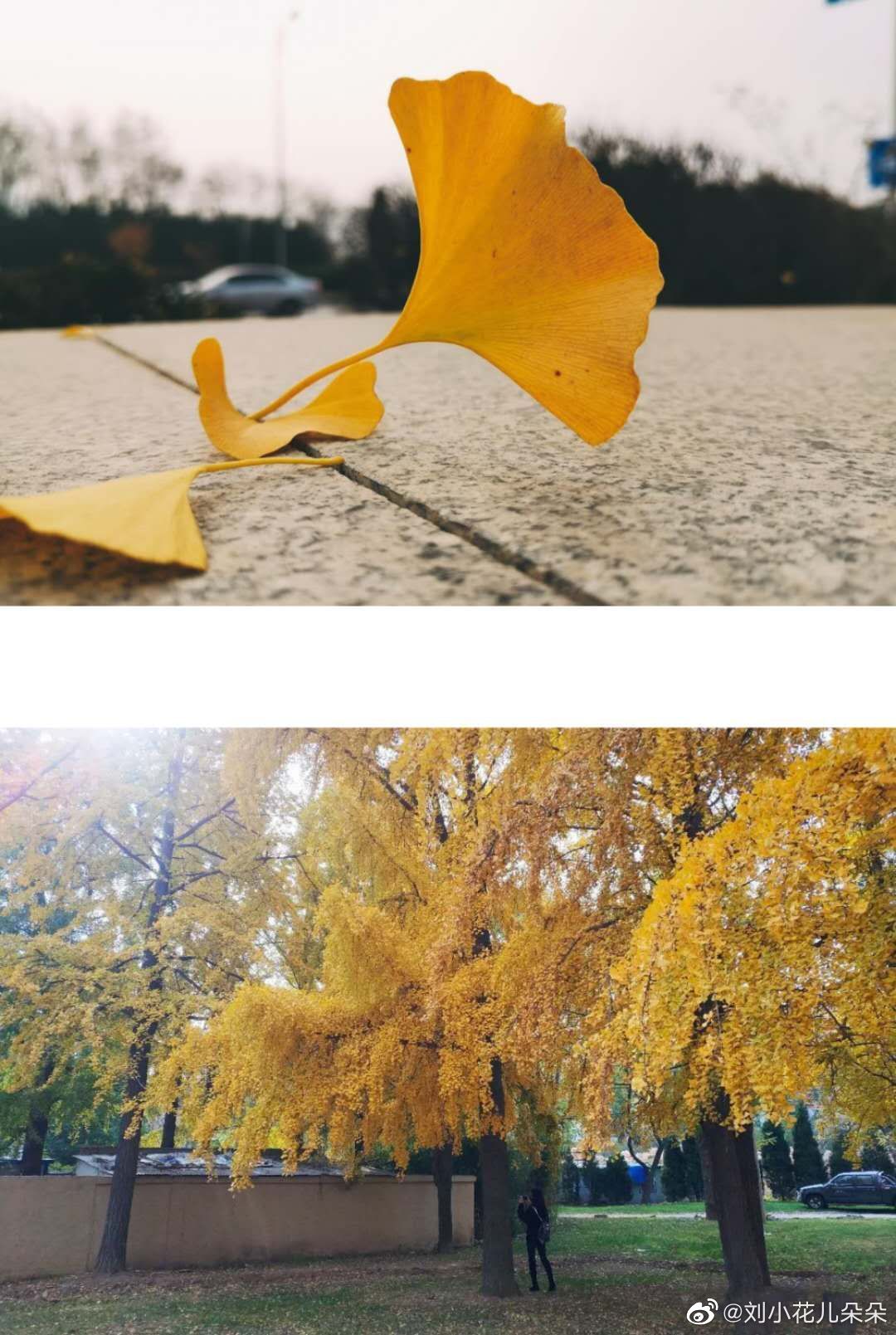 微博图片 3