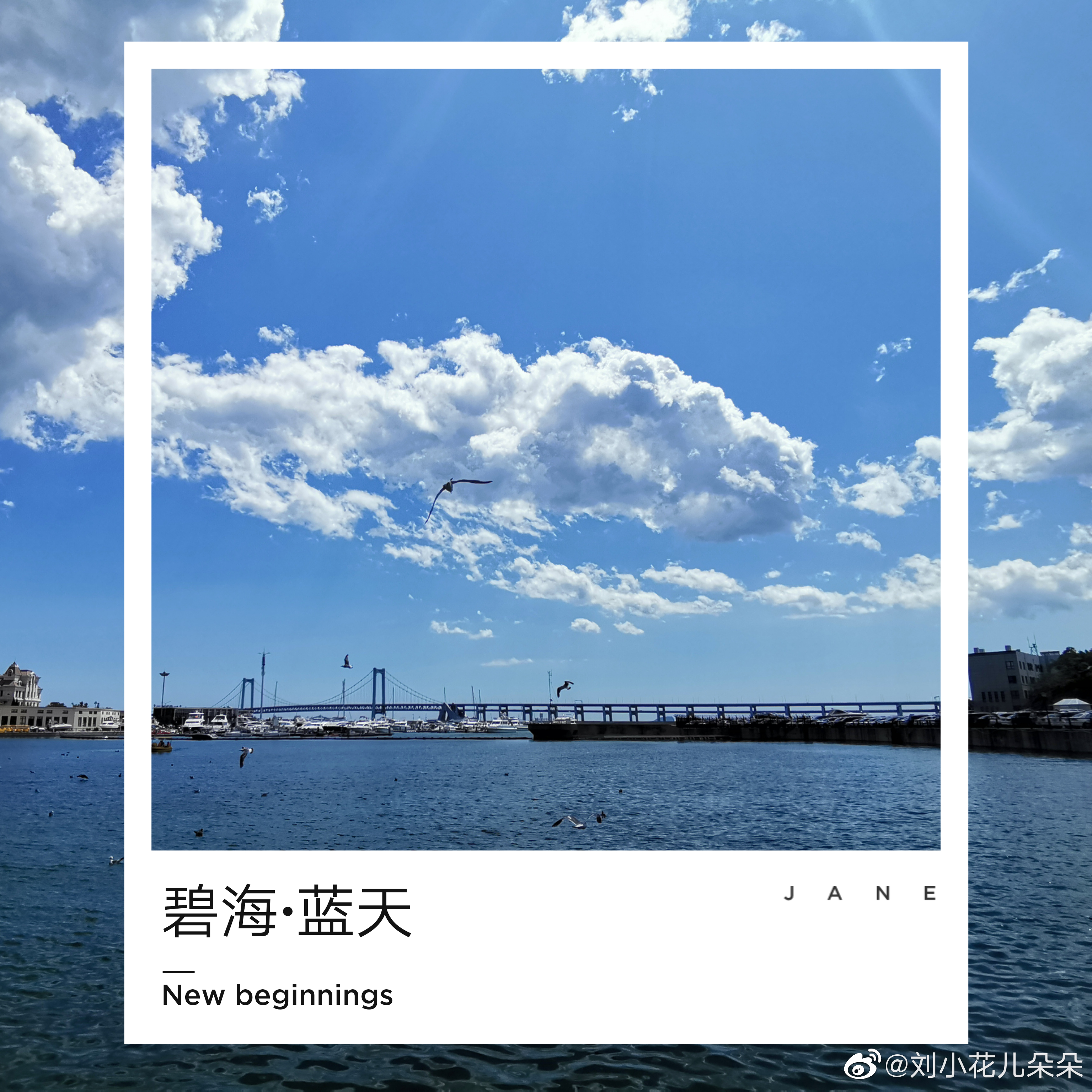 微博图片 1