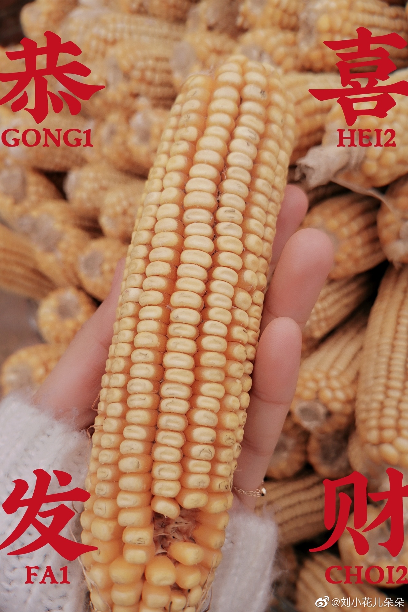 微博图片 2