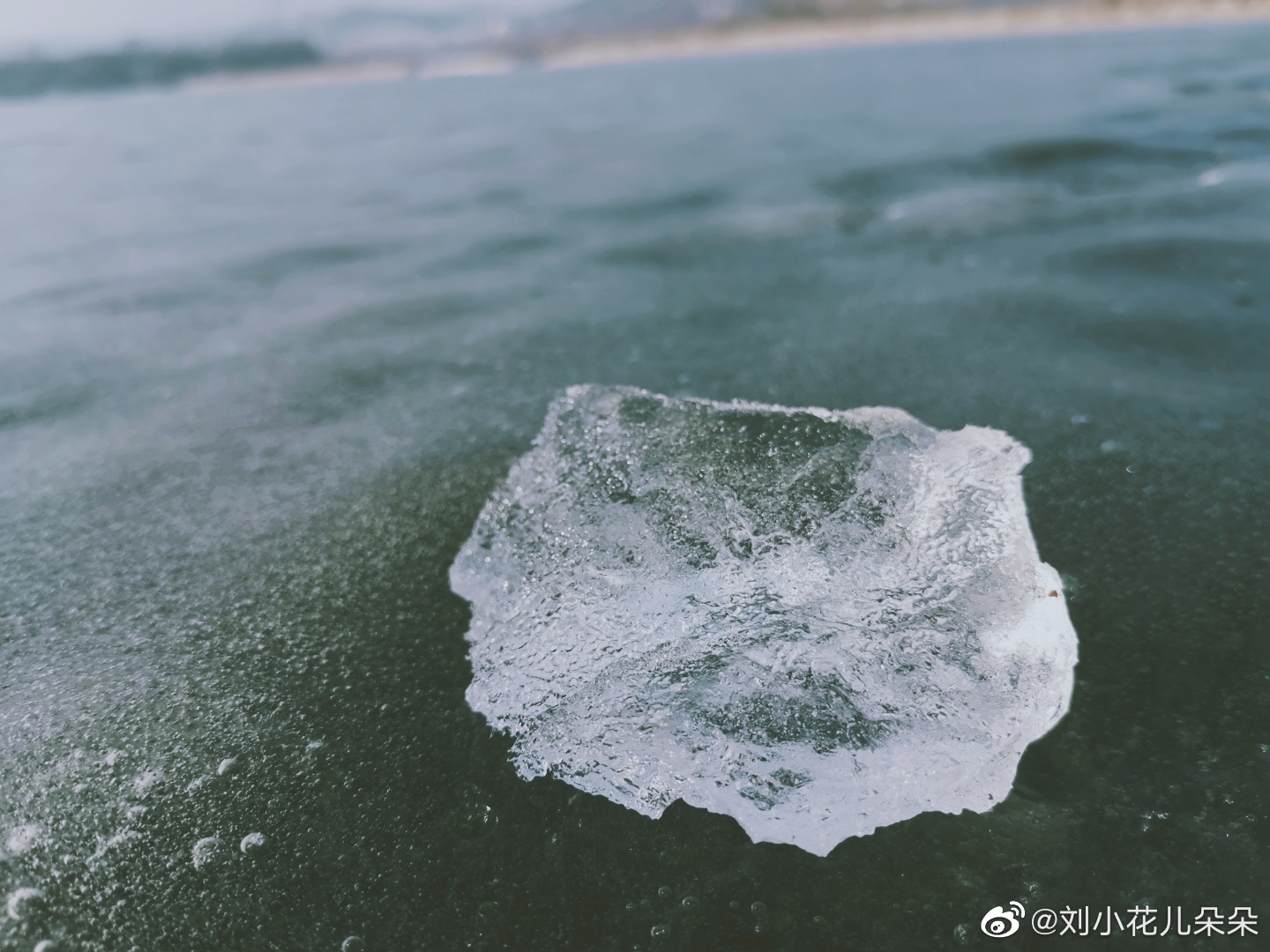 微博图片 6