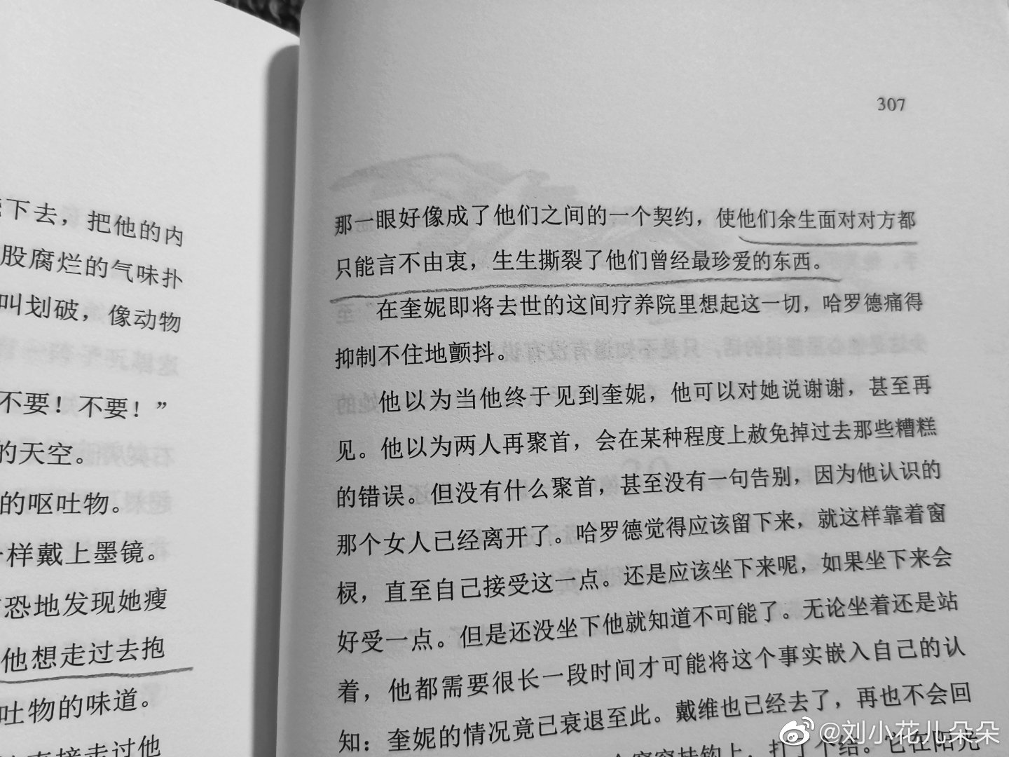 微博图片 2