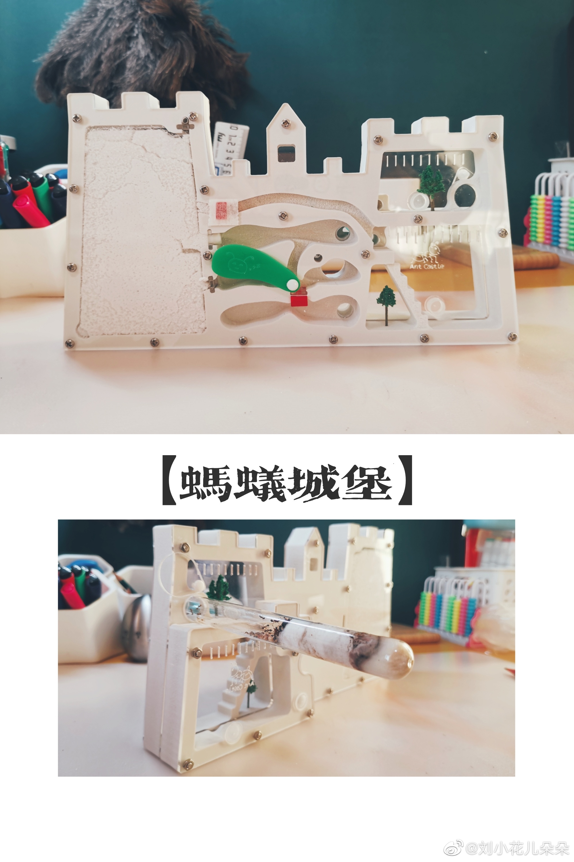 微博图片 3