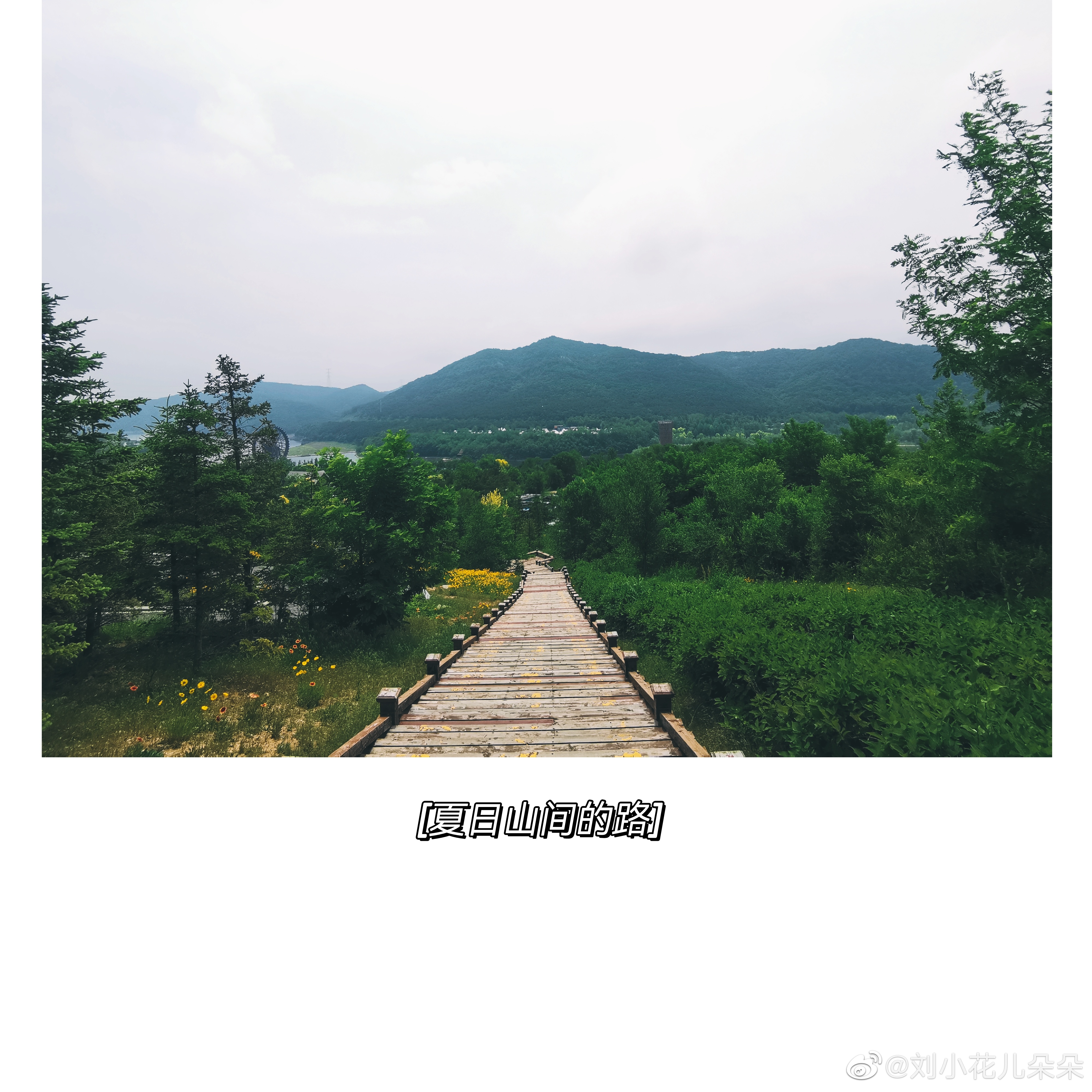 微博图片 1