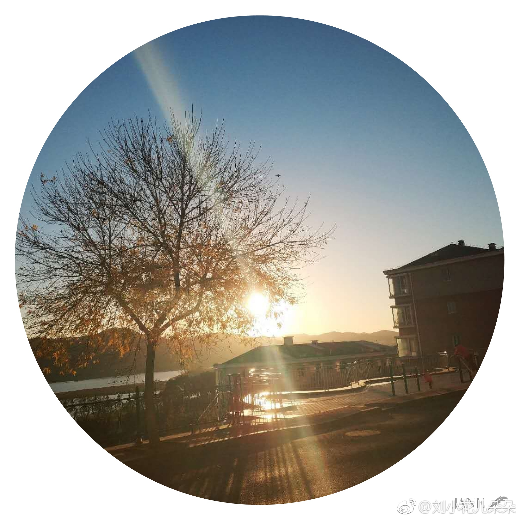 微博图片 1