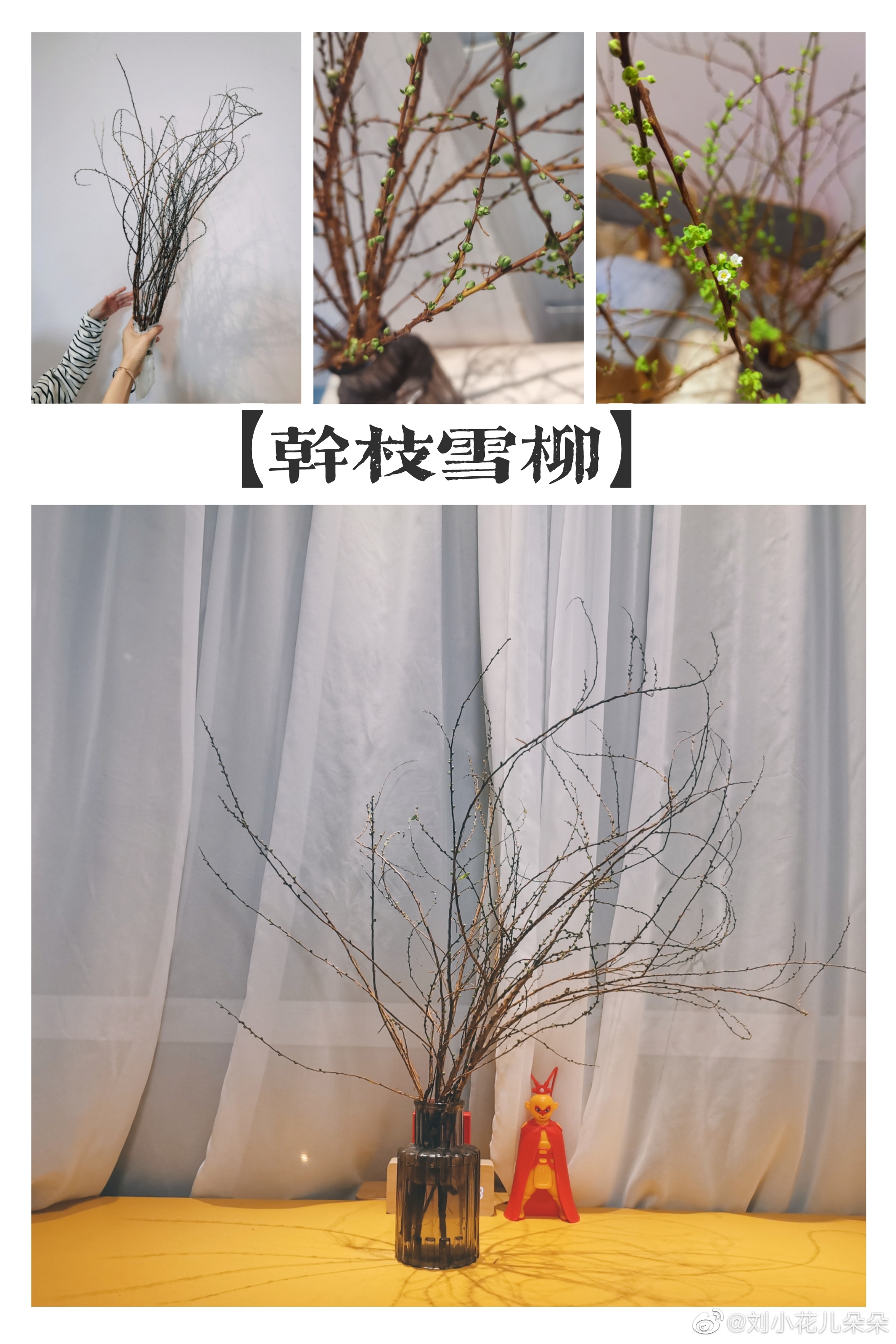 微博图片 4