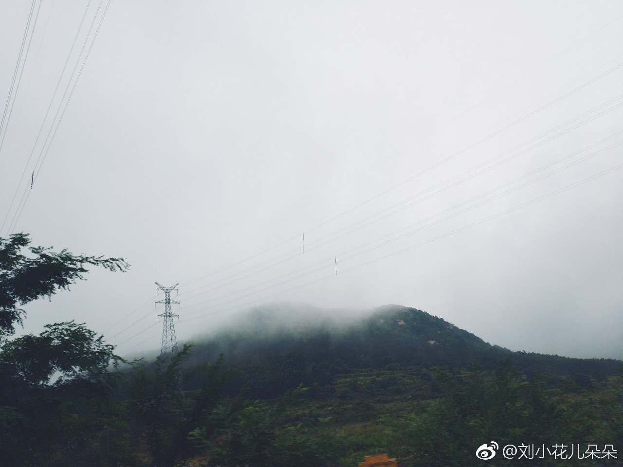 微博图片 1