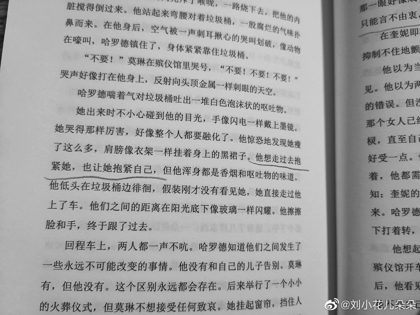 微博图片 1