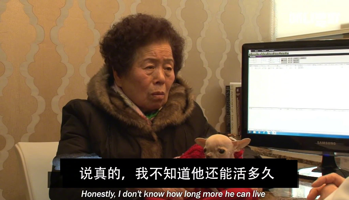 转发微博，微博图片 1